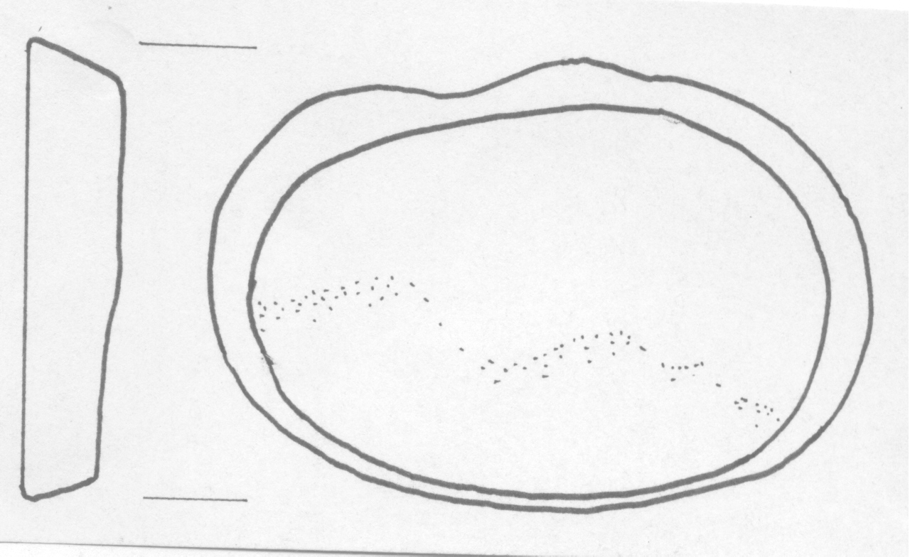piastrina - Facies Terramara (Età del Bronzo medio)