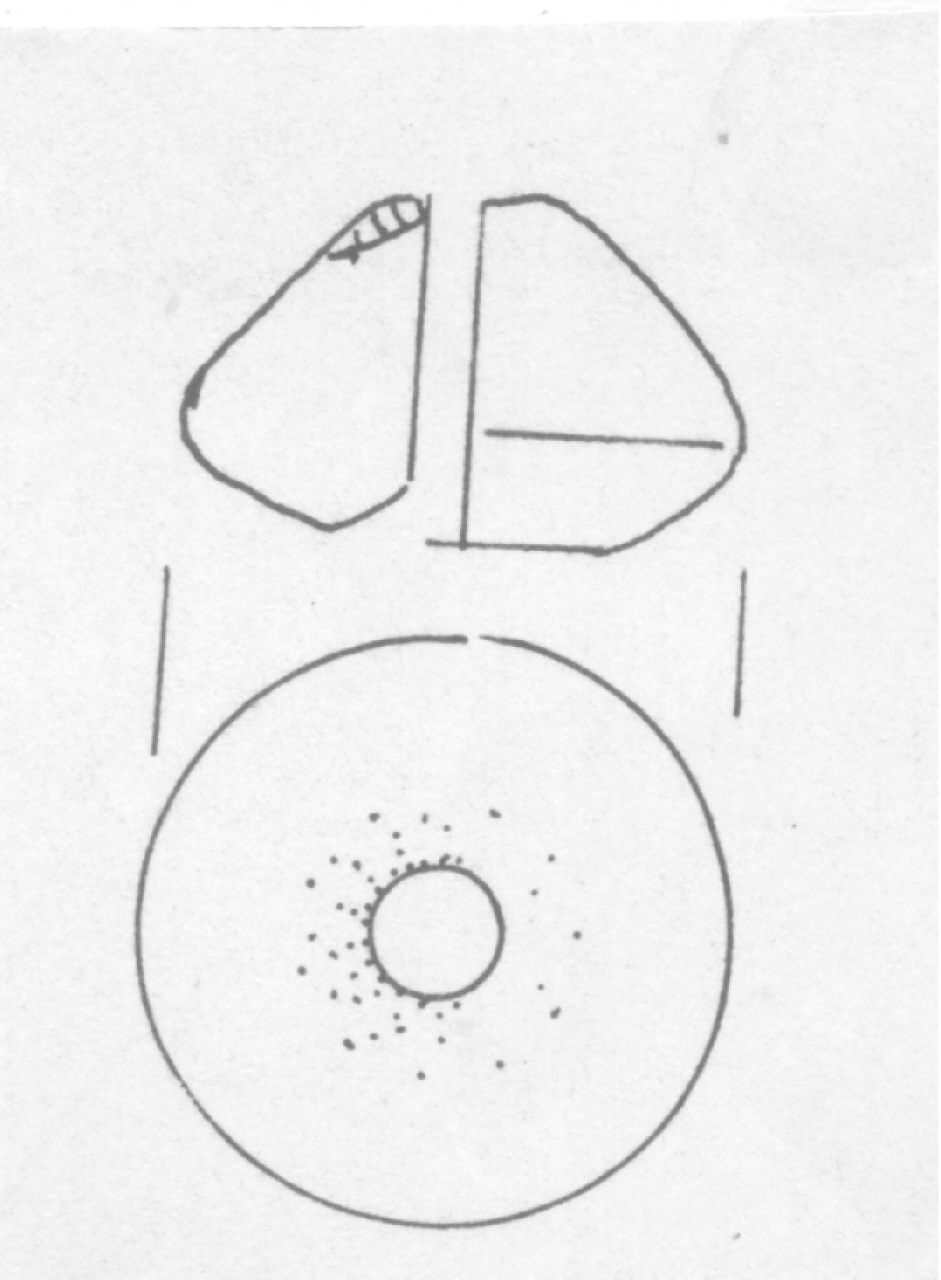 fusaiola - Facies Terramara (Età del Bronzo medio)