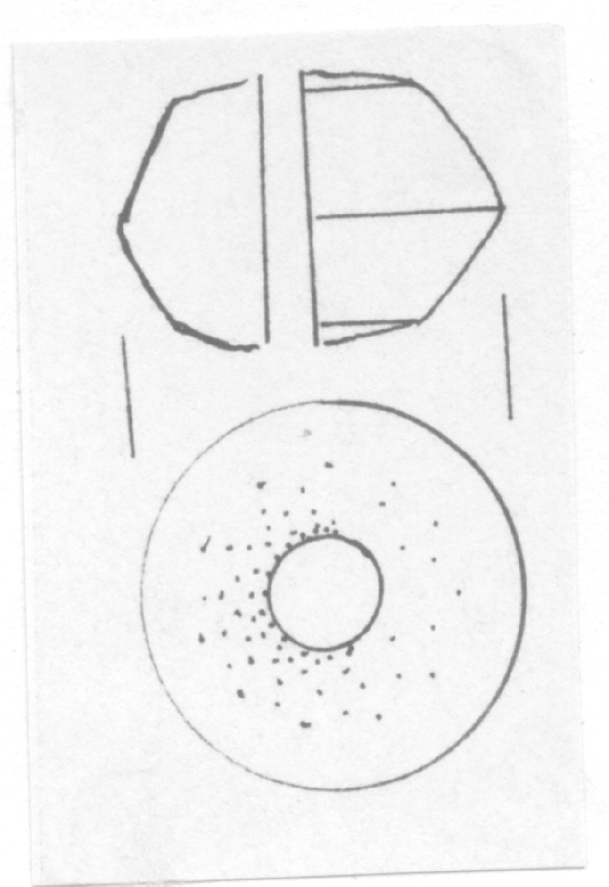 fusaiola - Facies Terramara (Età del Bronzo medio)