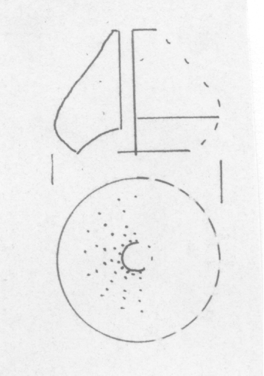 fusaiola - Facies Terramara (Età del Bronzo medio)
