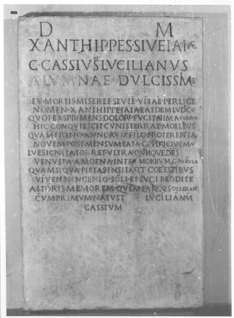 stele (sconosciuta)