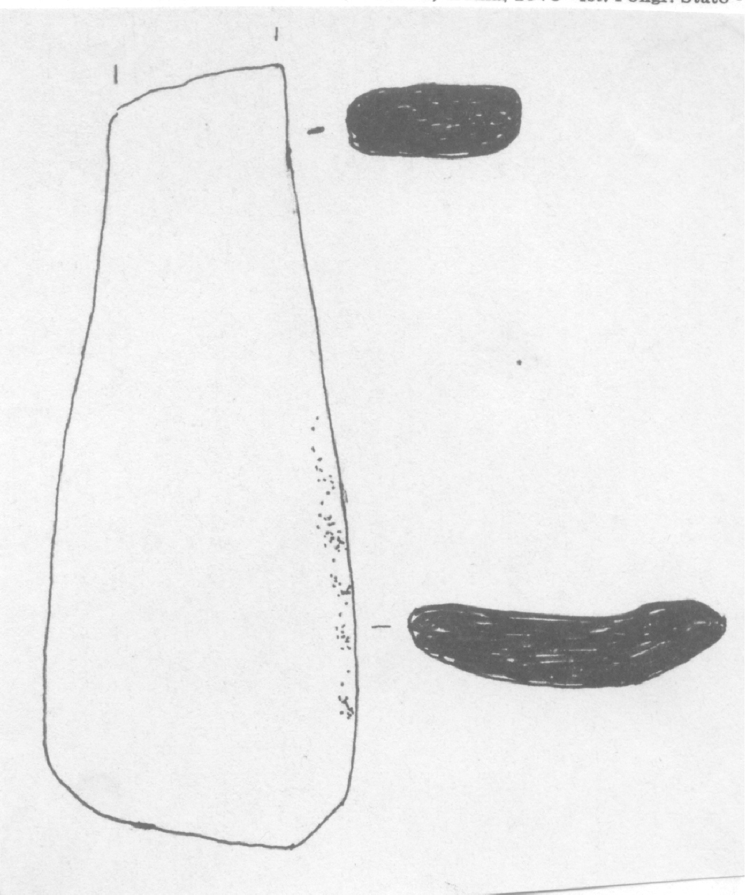 spatola - Facies Terramara (Età del Bronzo medio)