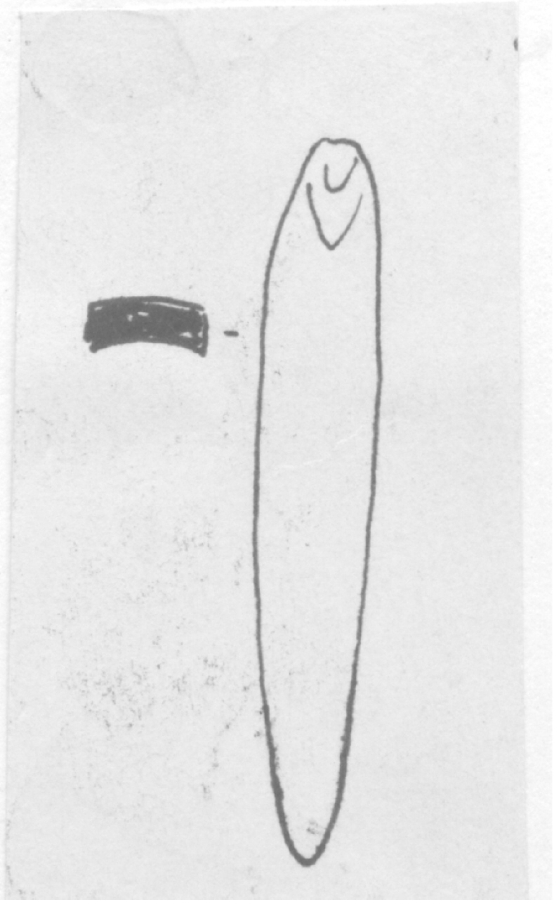 punteruolo - Facies Terramara (Età del Bronzo medio)