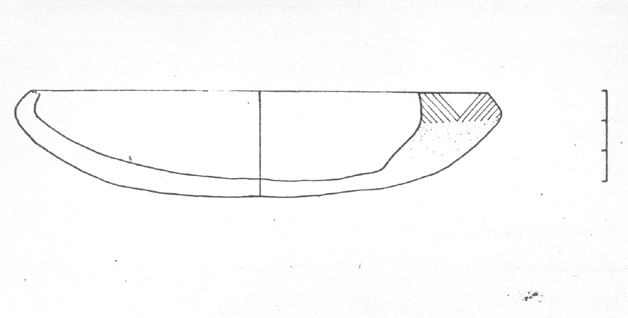 tazza - Facies Terramaricola (Età del Bronzo tardo)