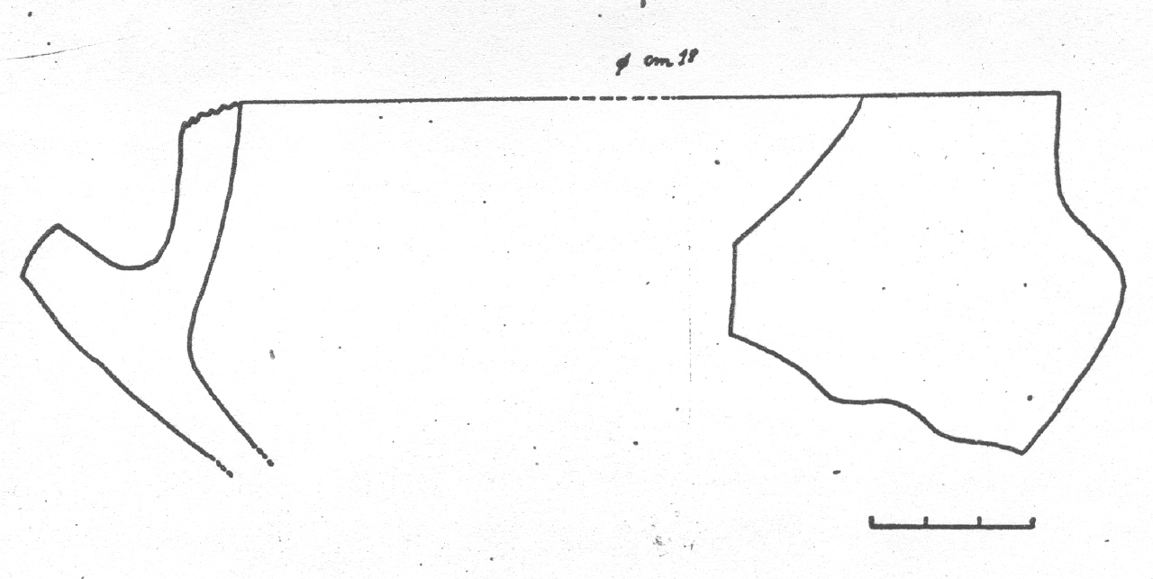 tazza con ansa verticale - Facies Terramaricola (Età del Bronzo tardo)