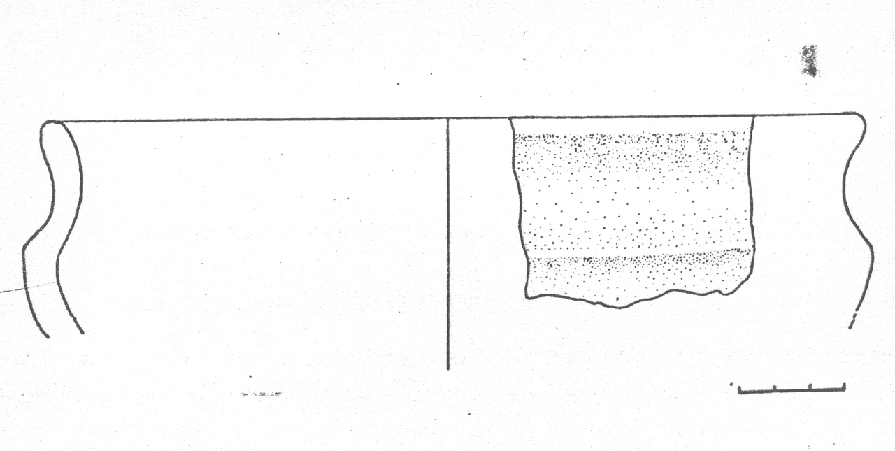 tazza - Facies Terramaricola (Età del Bronzo tardo)