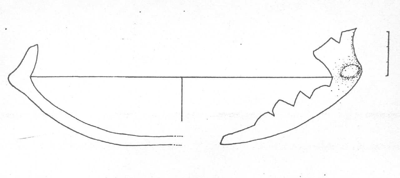 tazza - Facies Terramaricola (Età del Bronzo tardo)