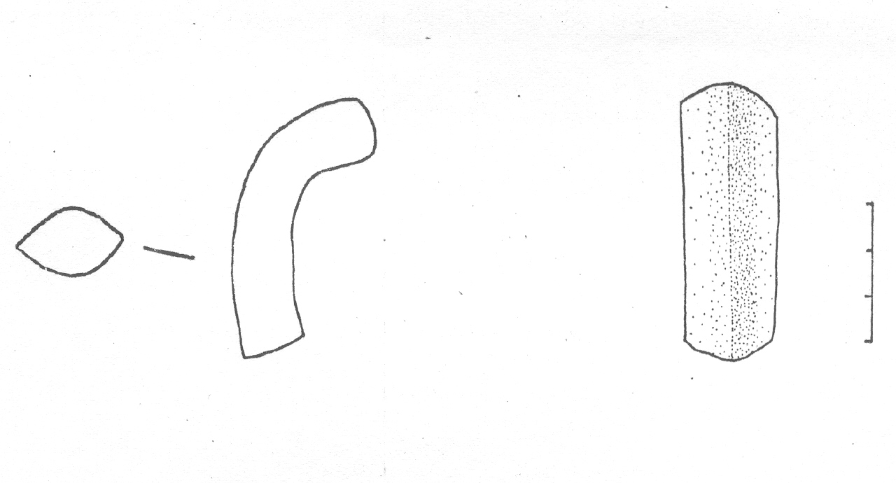 ansa - Facies Terramaricola (Età del Bronzo tardo)