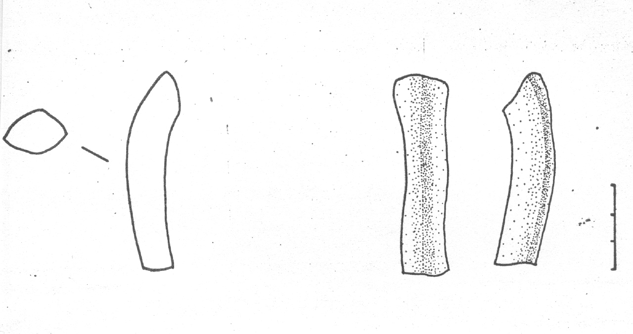 ansa - Facies Terramaricola (Età del Bronzo tardo)