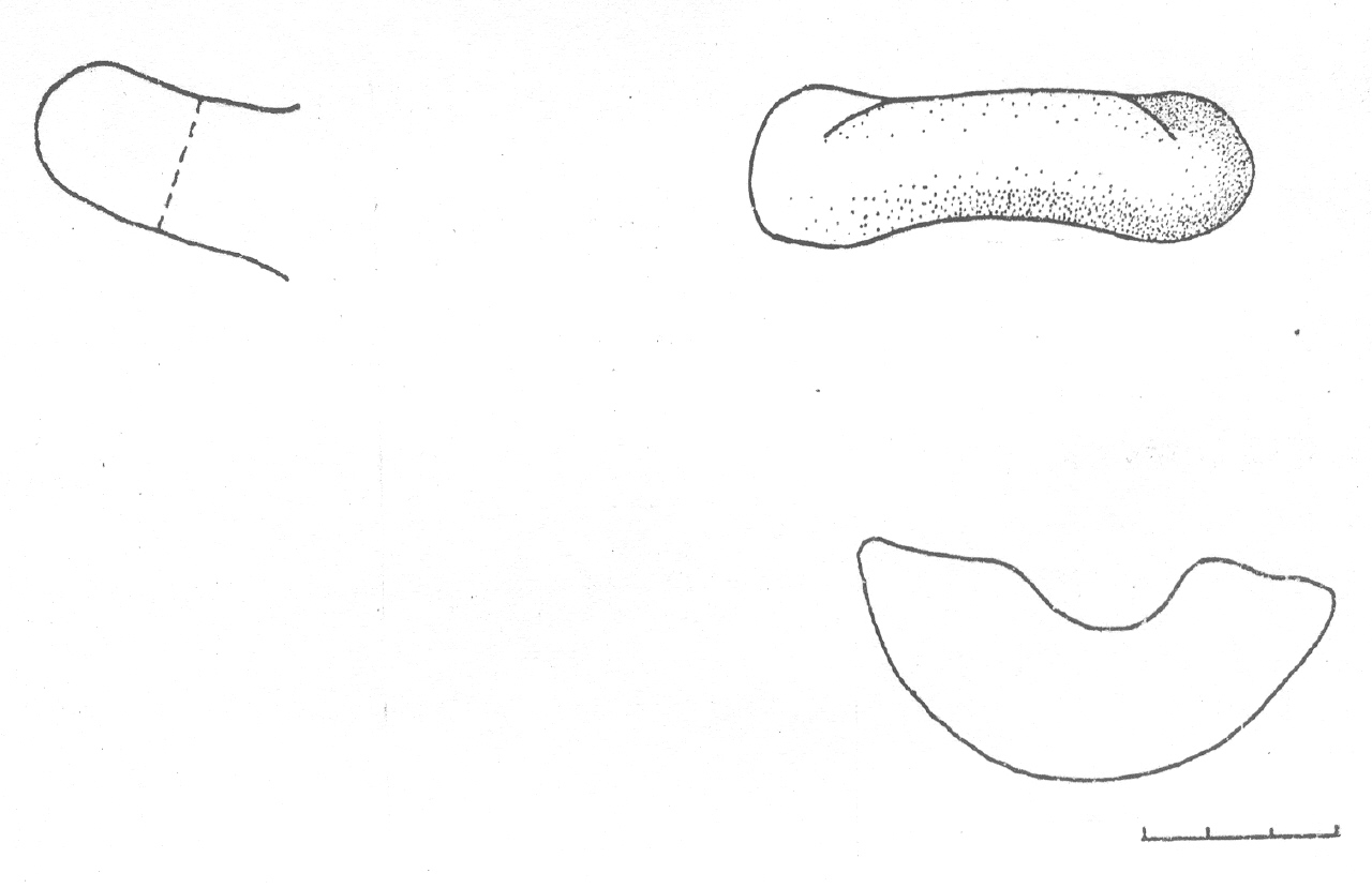 ansa - Facies Terramaricola (Età del Bronzo tardo)