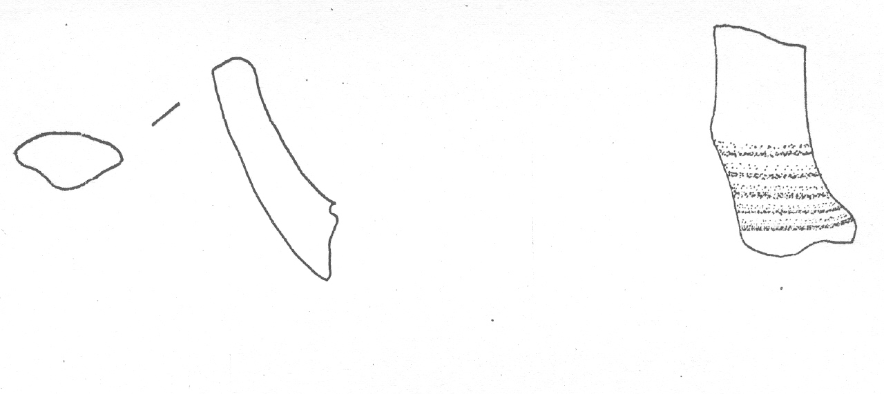 ansa - Facies Terramaricola (Età del Bronzo tardo)