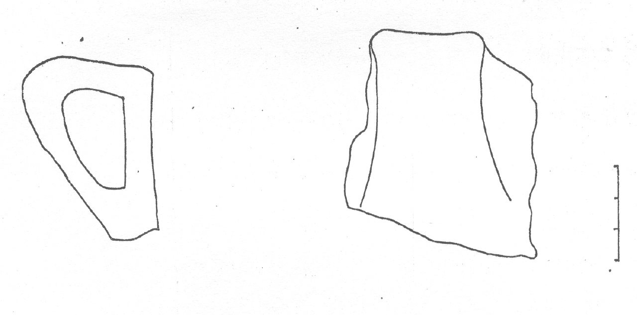 ansa - Facies Terramaricola (Età del Bronzo tardo)