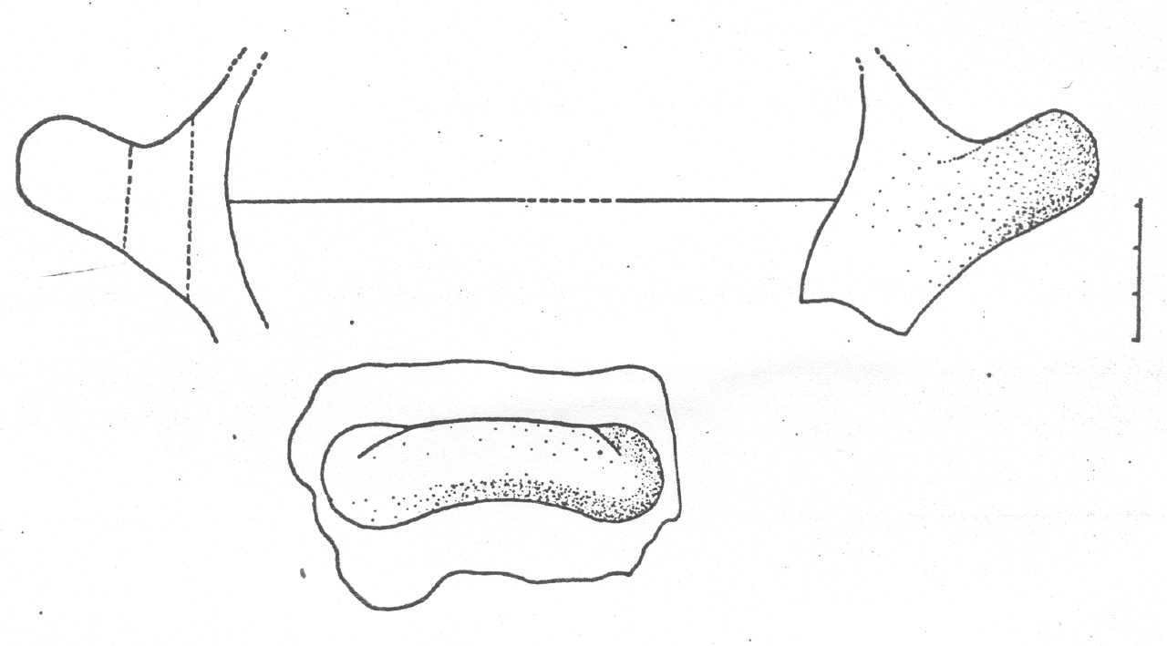 olla/ ansa - Facies Terramaricola (Età del Bronzo tardo)