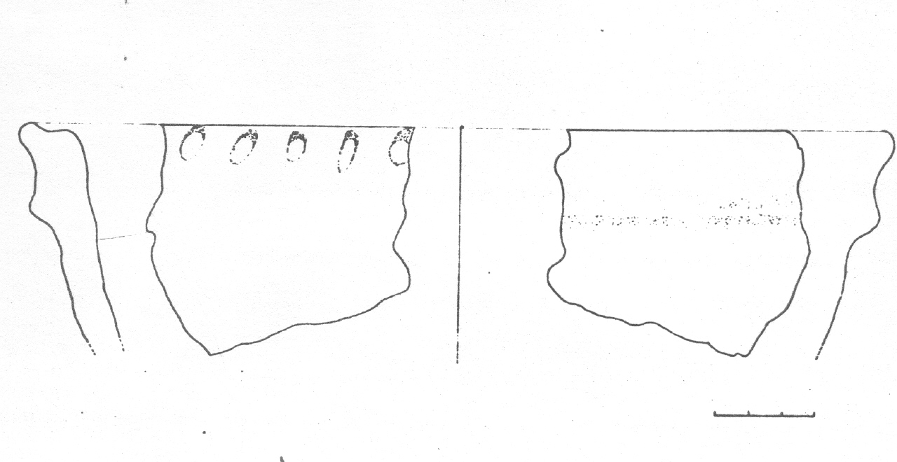orcio - Facies Terramaricola (Età del Bronzo tardo)