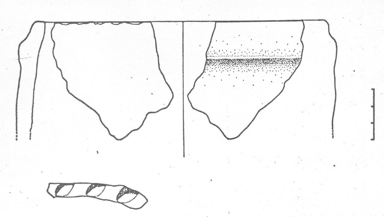 orcio - Facies Terramaricola (Età del Bronzo tardo)