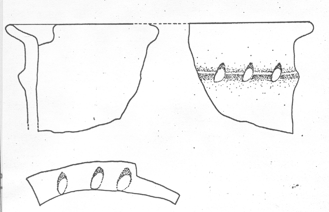 orcio - Facies Terramaricola (Età del Bronzo tardo)