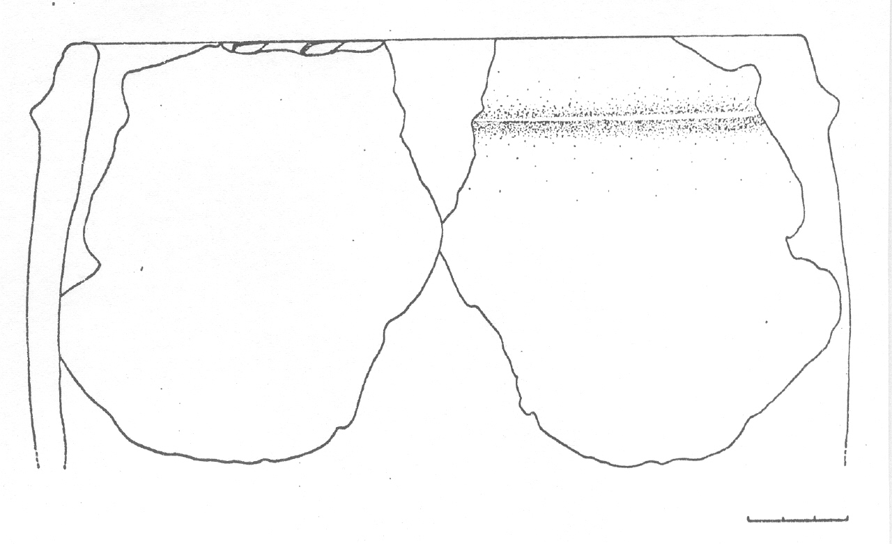 orcio - Facies Terramaricola (Età del Bronzo tardo)