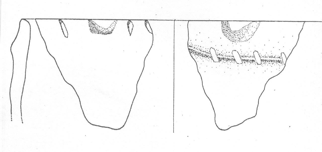 orcio - Facies Terramaricola (Età del Bronzo tardo)