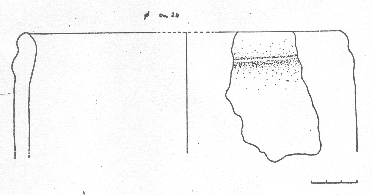 orcio - Facies Terramaricola (Età del Bronzo tardo)