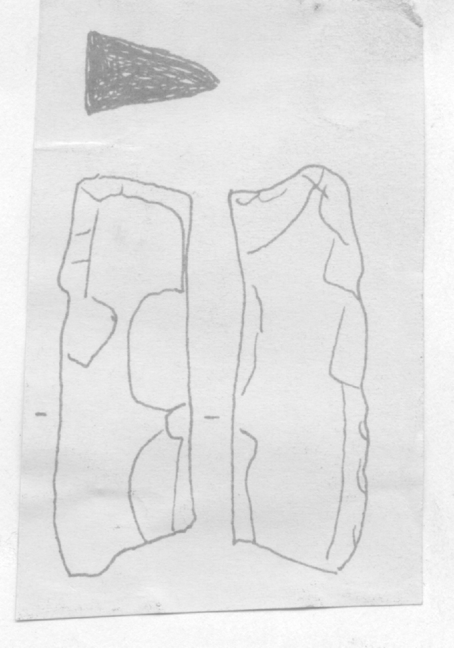 scheggia - Facies Terramaricola (Età del bronzo)