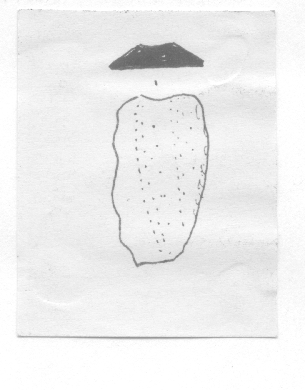 lama - Facies Terramaricola (Età del Bronzo Antico - Medio)