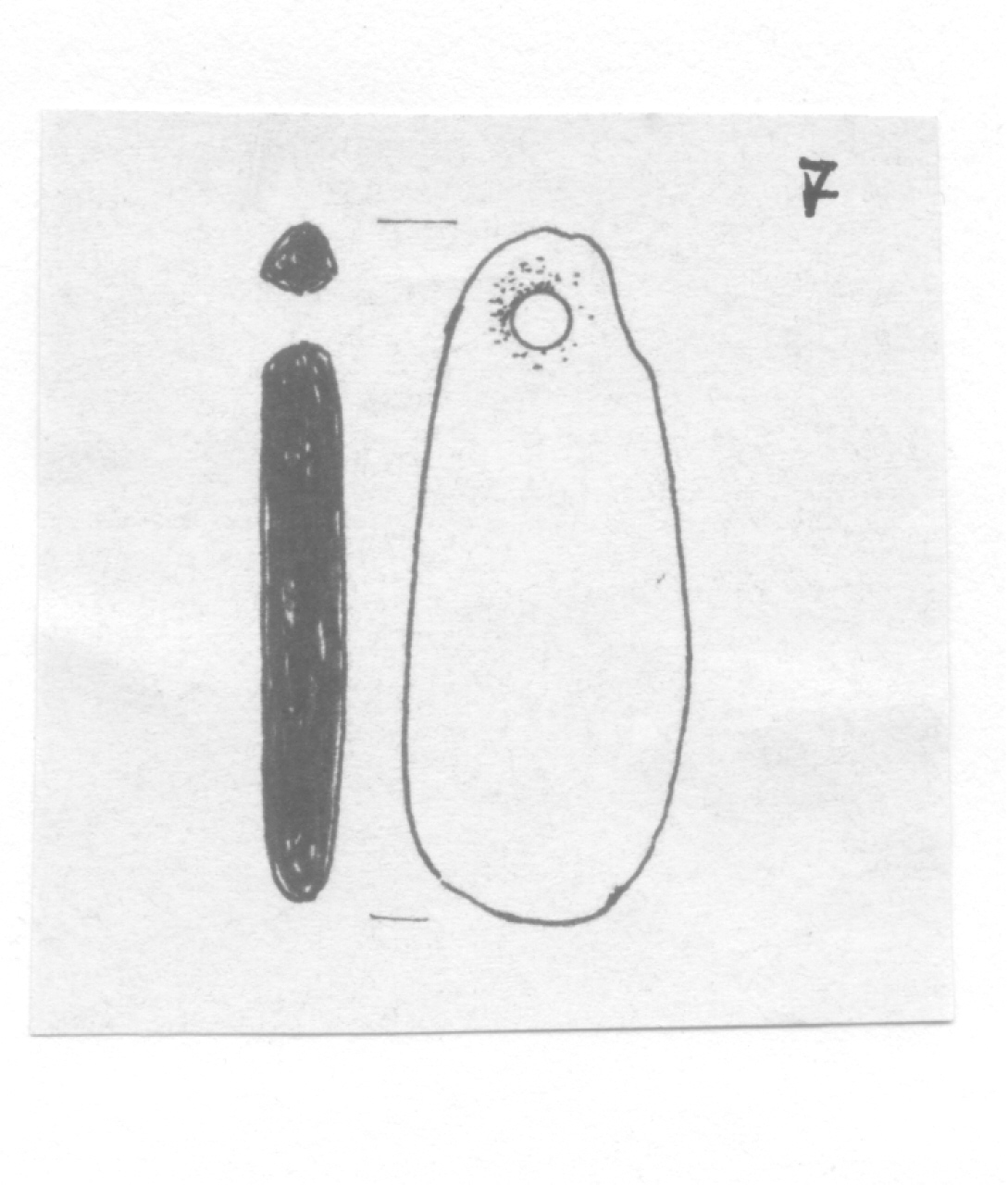 pendente - Facies Terramaricola (Età del bronzo)