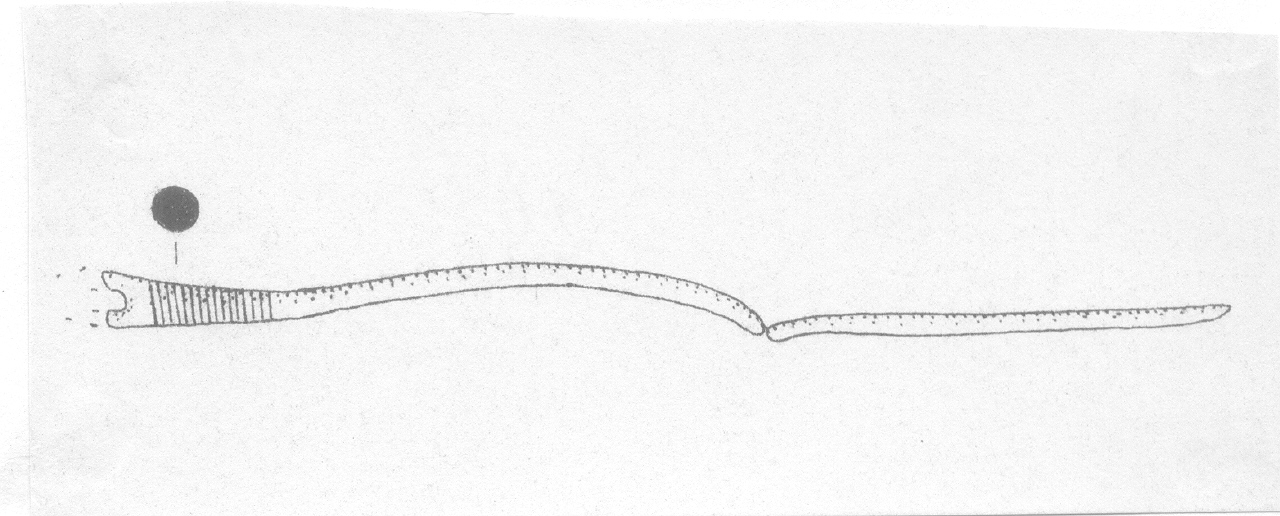 ago - Facies Terramara (Età del Bronzo finale)