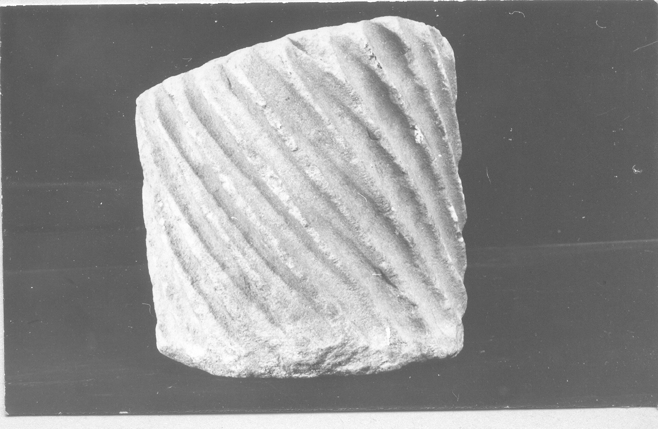 colonna/ frammento (non determinabile)