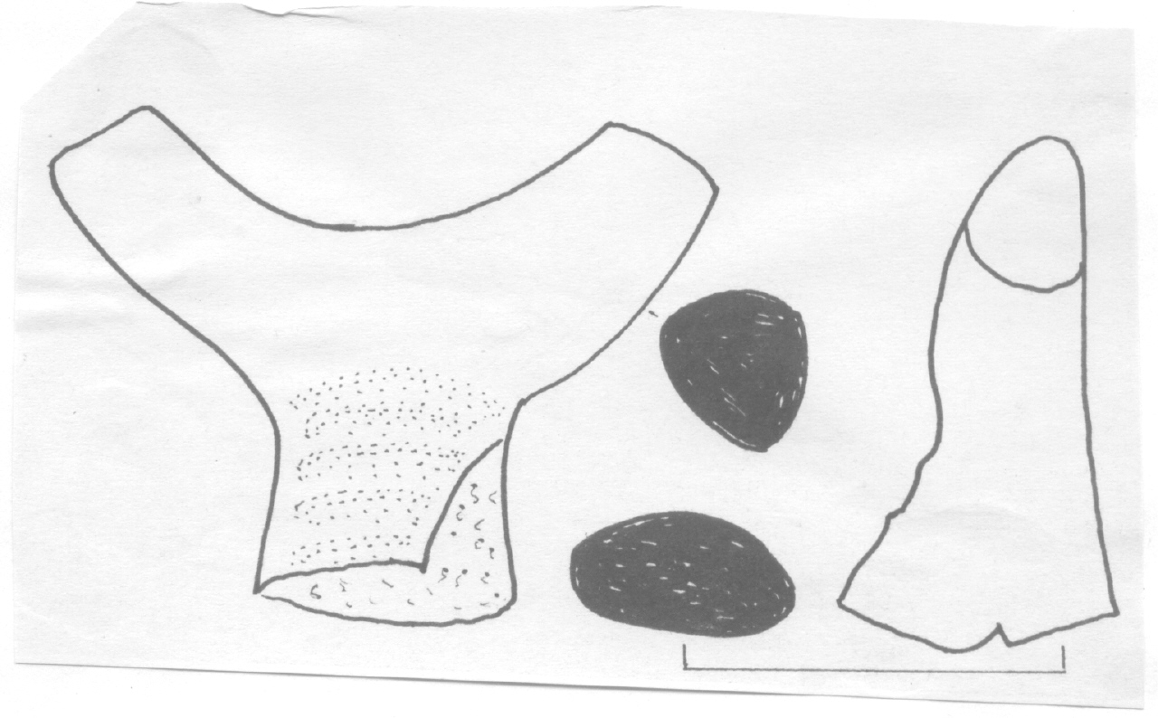 ansa - Facies Terramara (Età del bronzo)