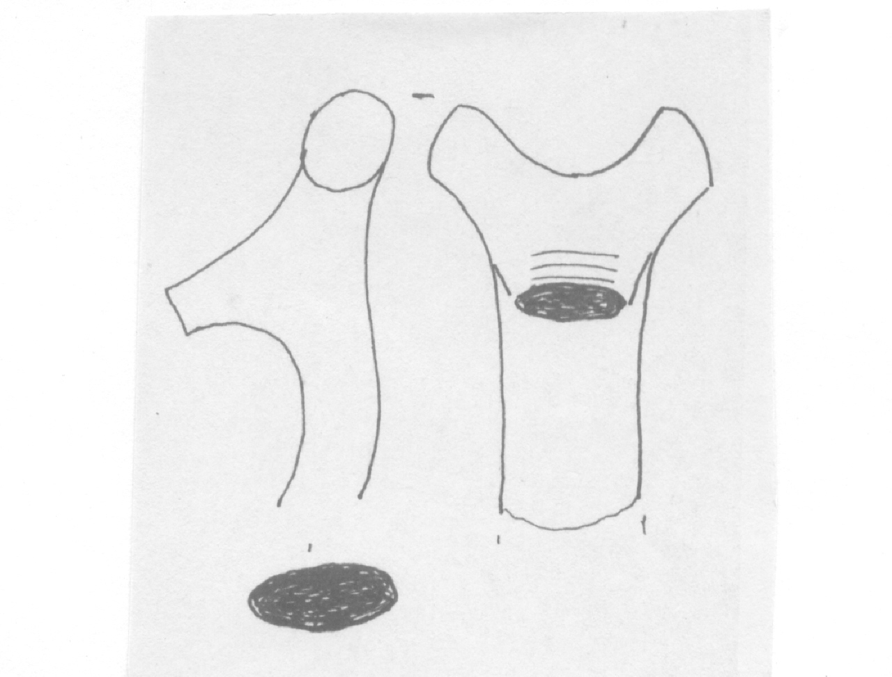 ansa - Facies Terramara (Età del Bronzo finale)