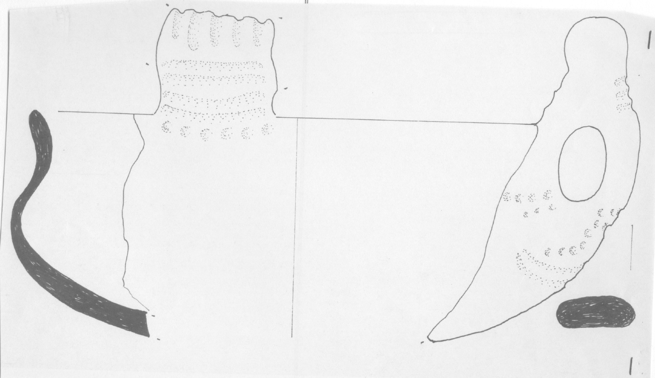 tazza - Facies Terramara (Età del bronzo)