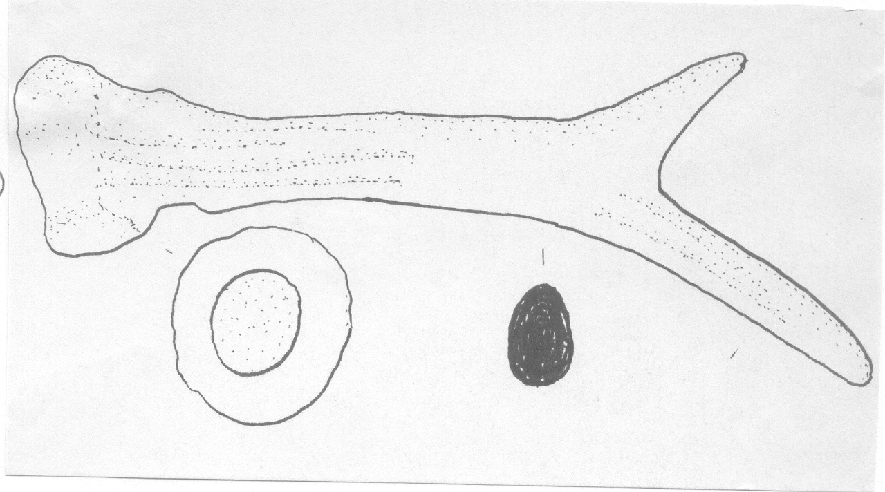 corno - Facies Terramara (Età del bronzo)