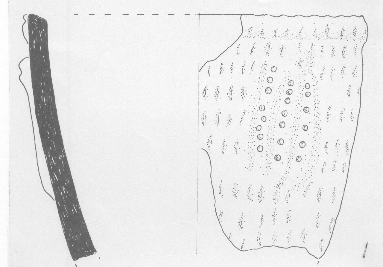 vaso - Facies Terramara (Età del bronzo)