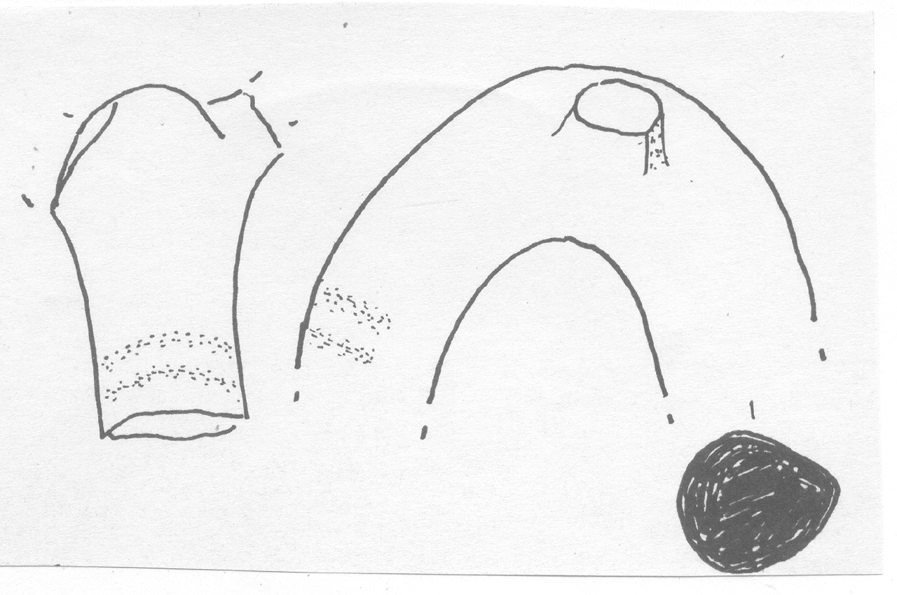 ansa - Facies Terramara (Età del Bronzo recente)