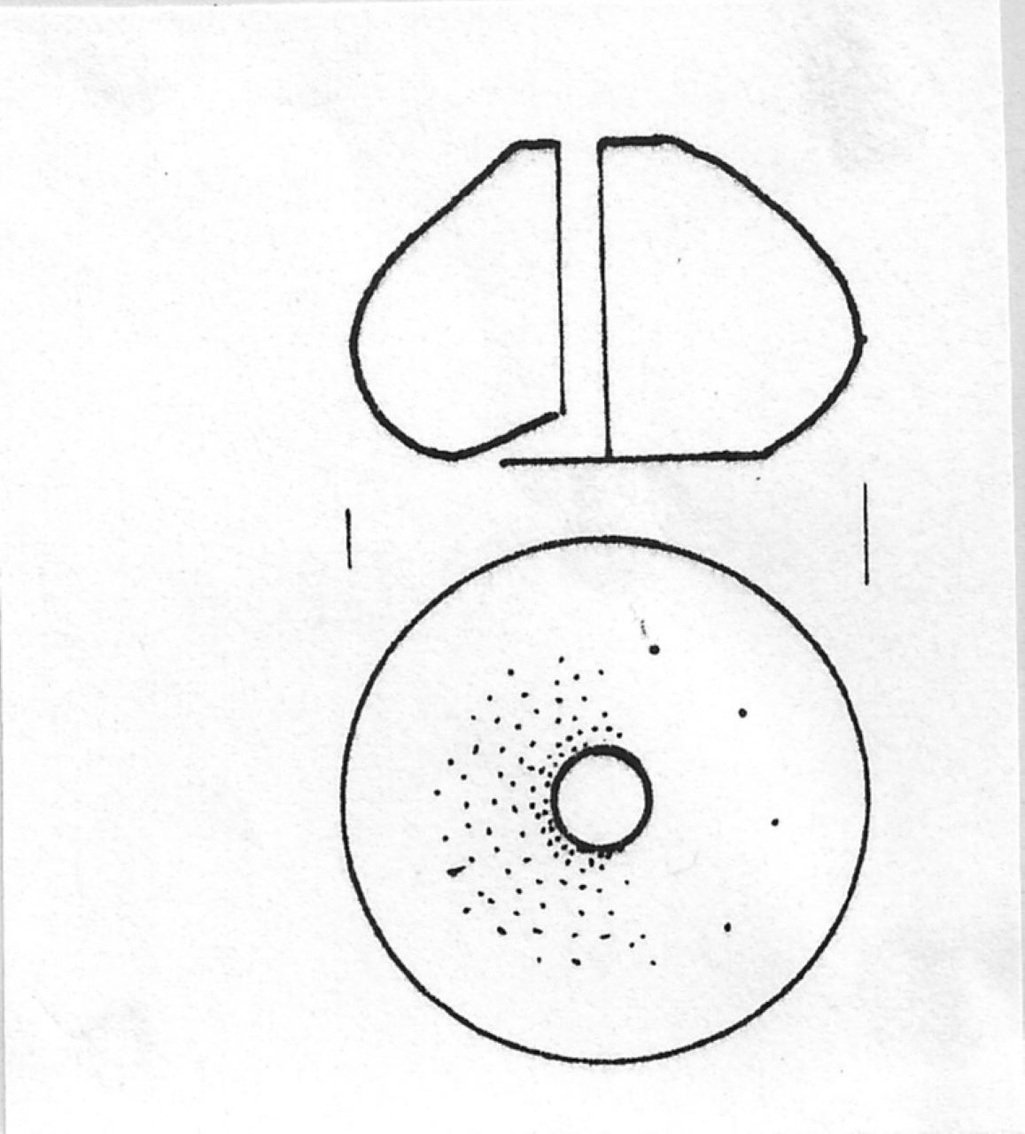 fuseruola - Facies Terramaricola (Tardo Minoico II)