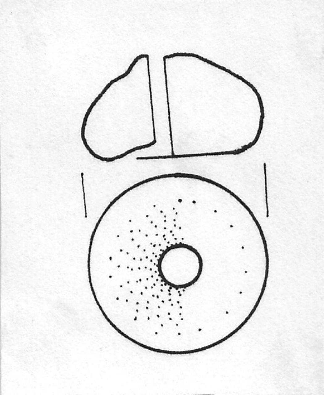 fuseruola - Facies Terramaricola (Tardo Minoico II)