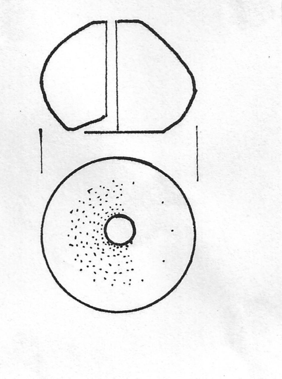 fuseruola - Facies Terramaricola (Tardo Minoico II)