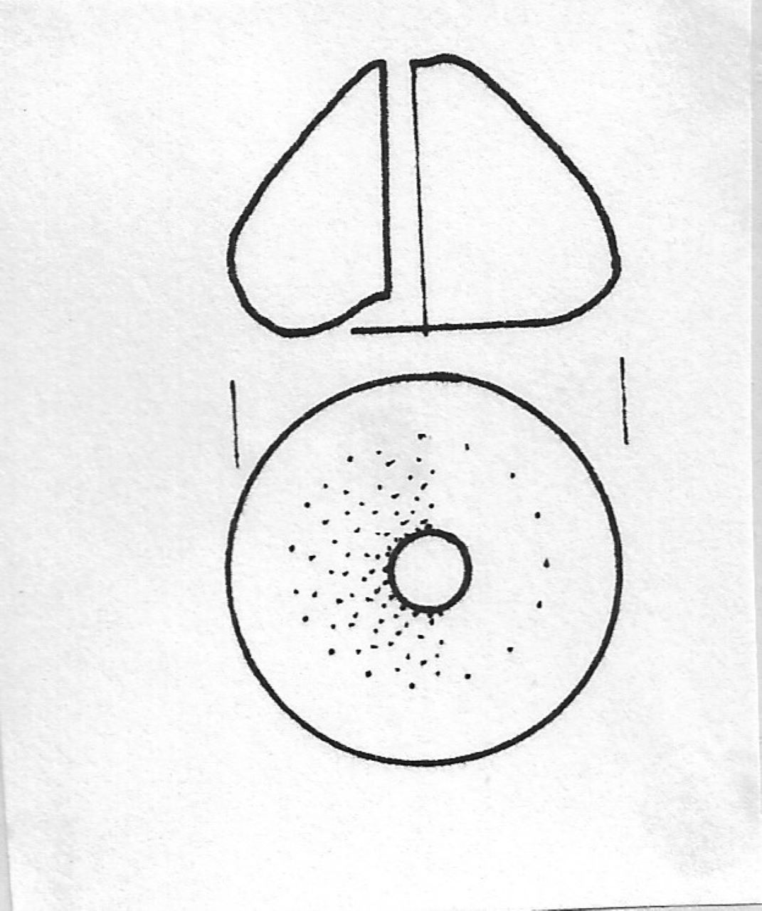 fuseruola - Facies Terramaricola (Tardo Minoico II)