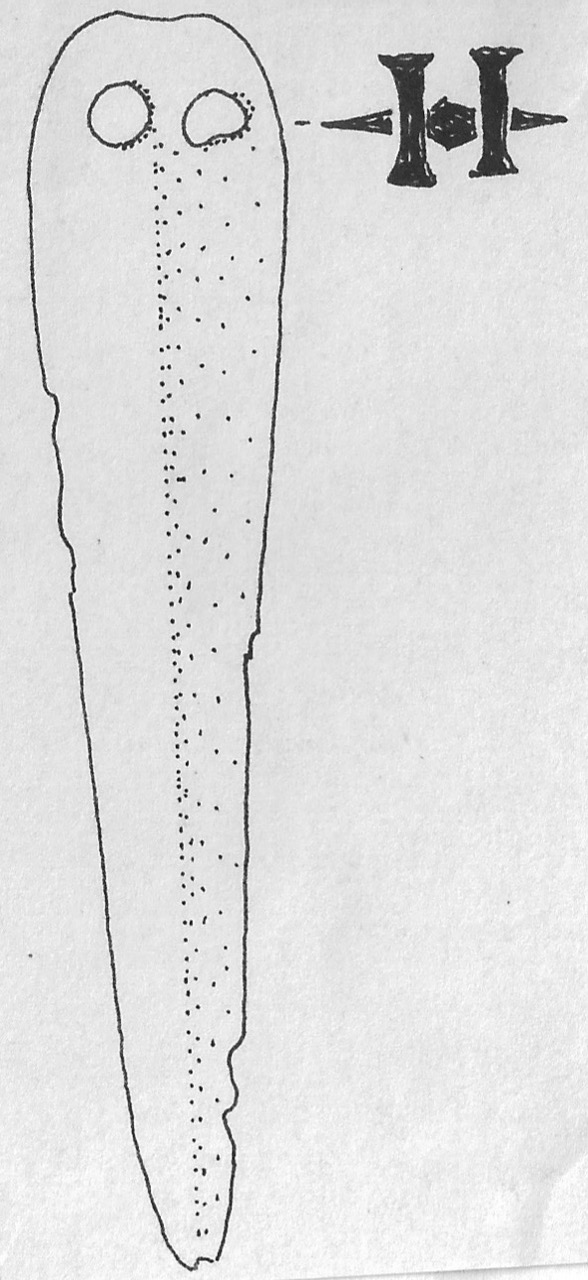 pugnale - Facies Terramara (Età del bronzo)
