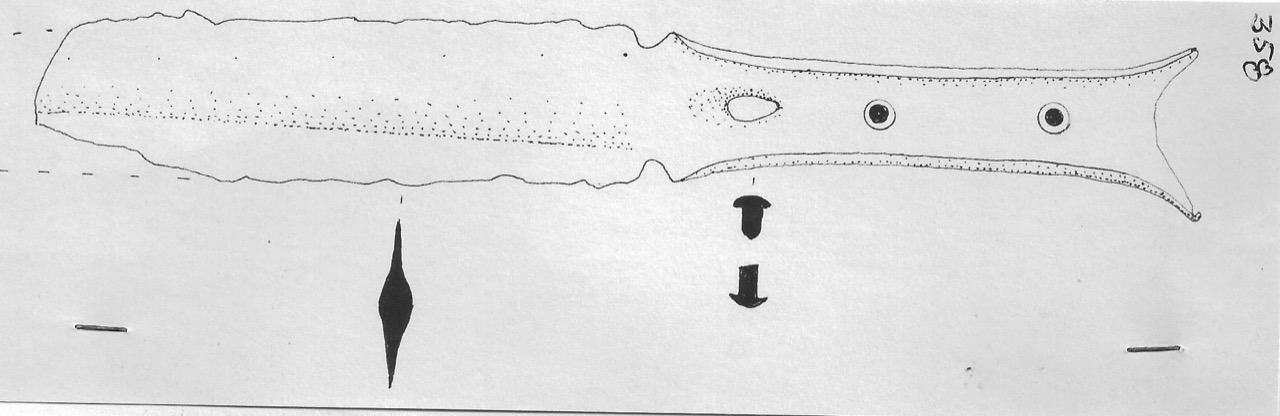 pugnaletto - Facies Terramara (Età del bronzo)