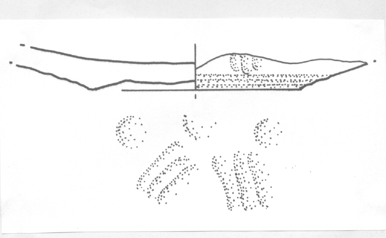 scodella/ fondo - Facies Terramara (Età del bronzo)
