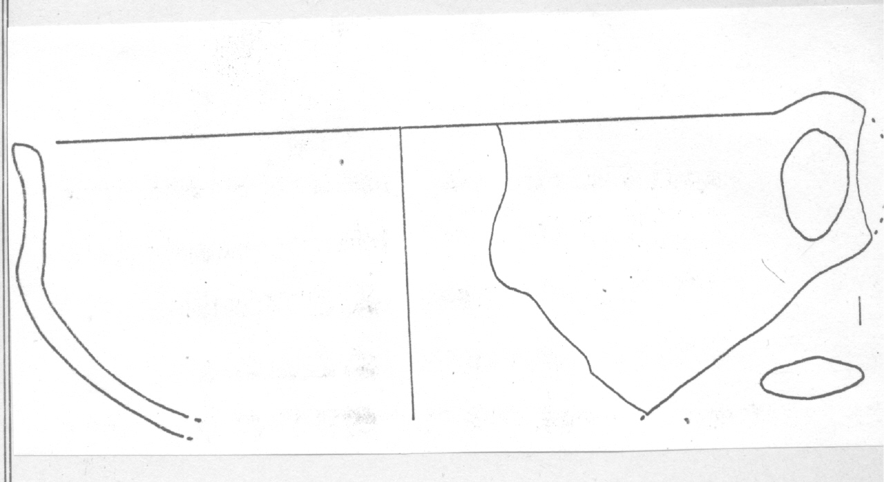 tazza - Facies Terramara (Età del bronzo)