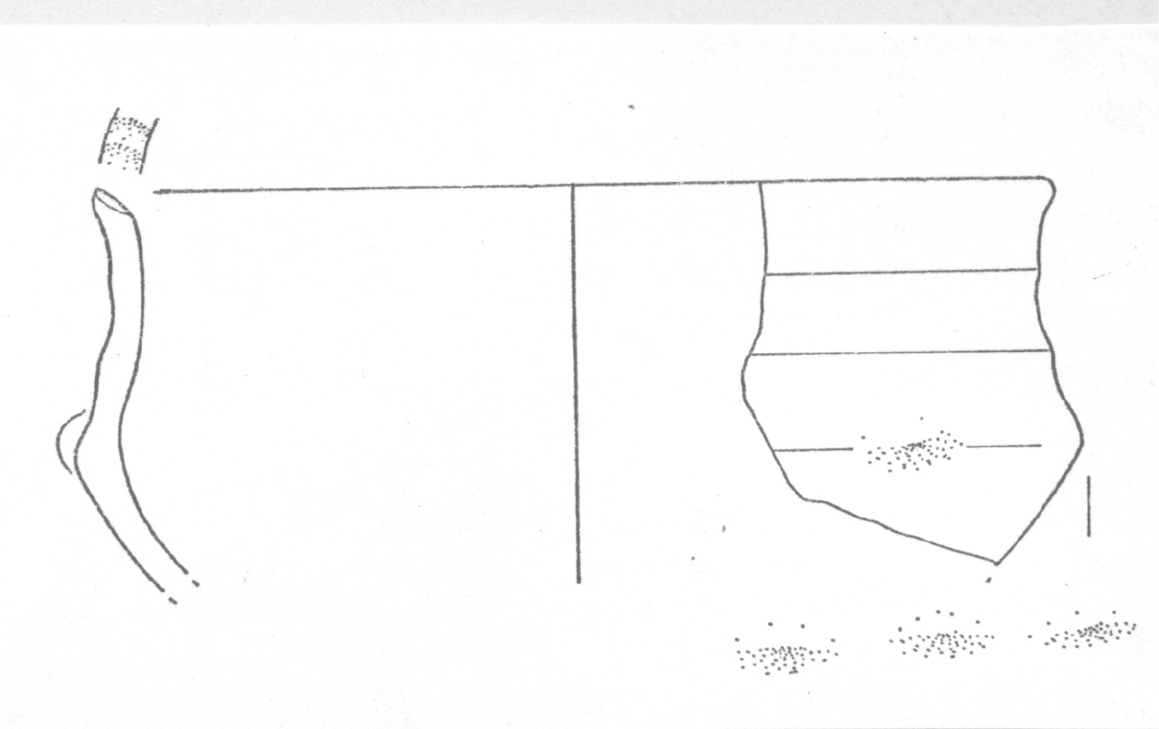 tazza - Facies Terramara (Età del bronzo)