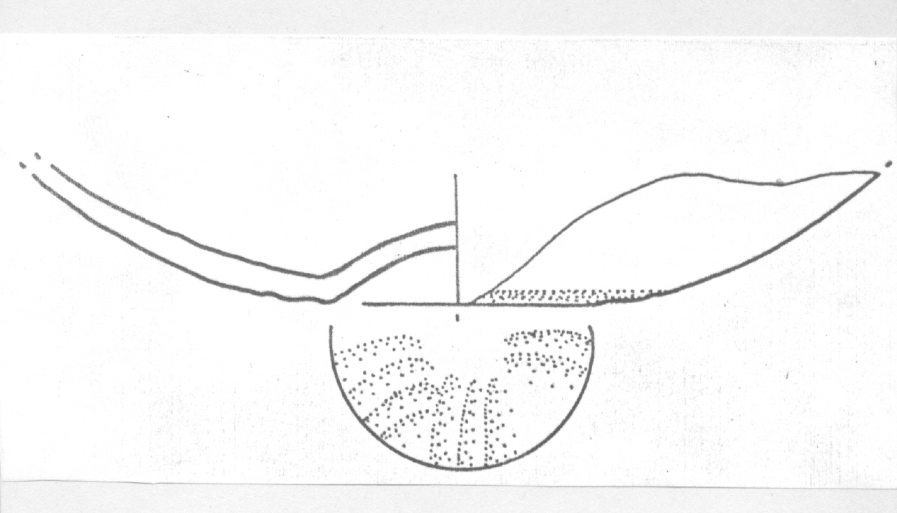 tazza - Facies Terramara (Età del bronzo)