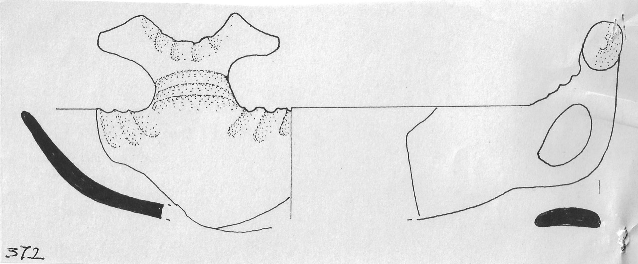 tazza - Facies Terramara (Età del bronzo)
