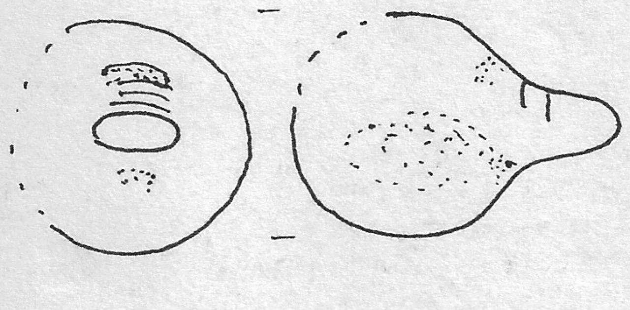 pendente - Facies Terramara (Età del bronzo)