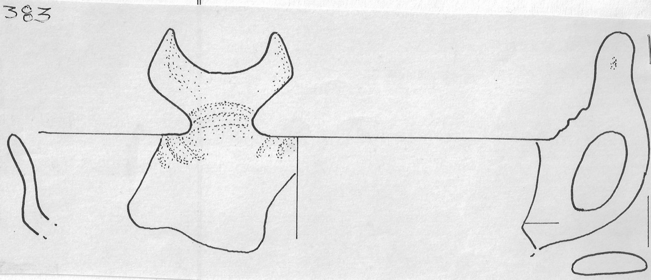 tazza - Facies Terramara (Età del bronzo)