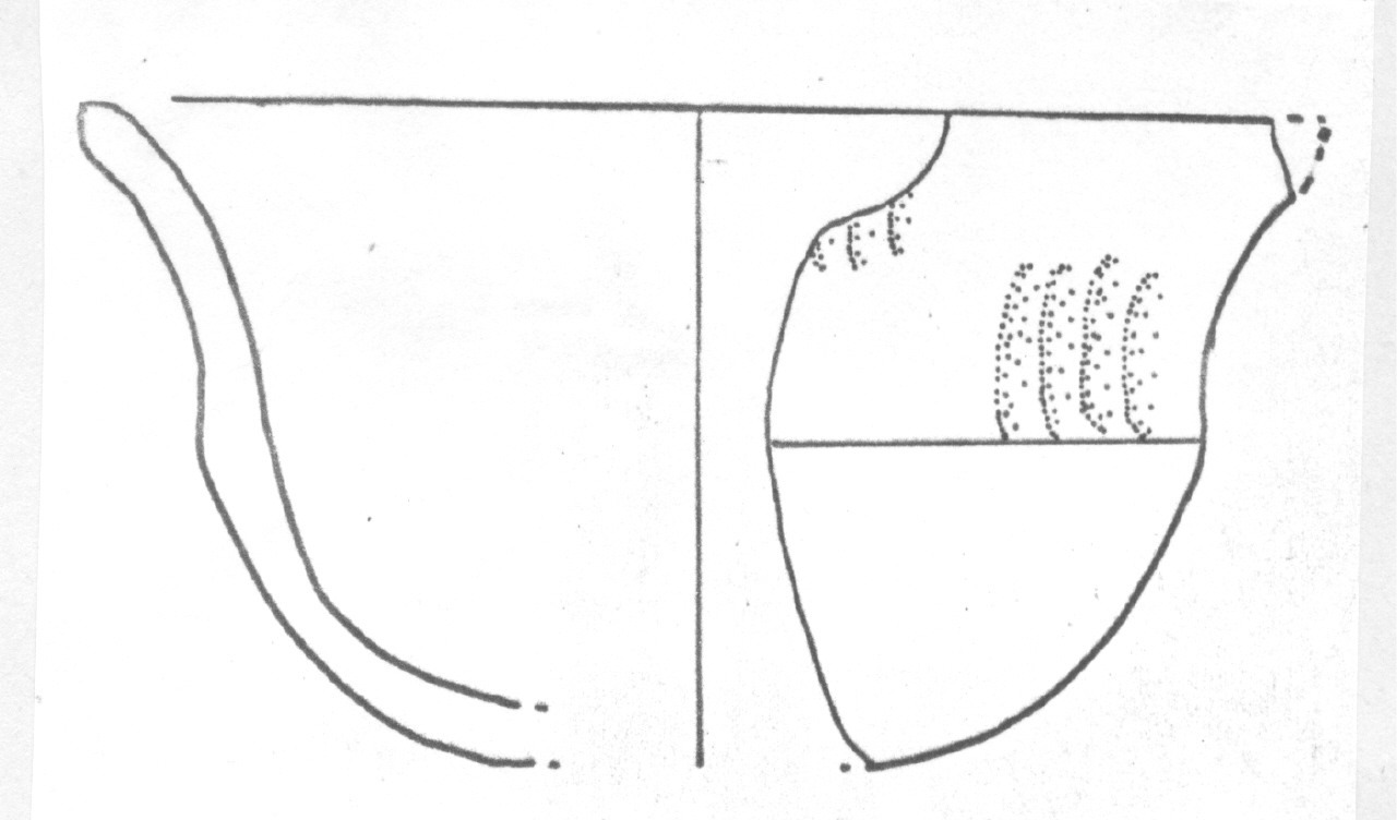 tazzina - Facies Terramara (Età del bronzo)