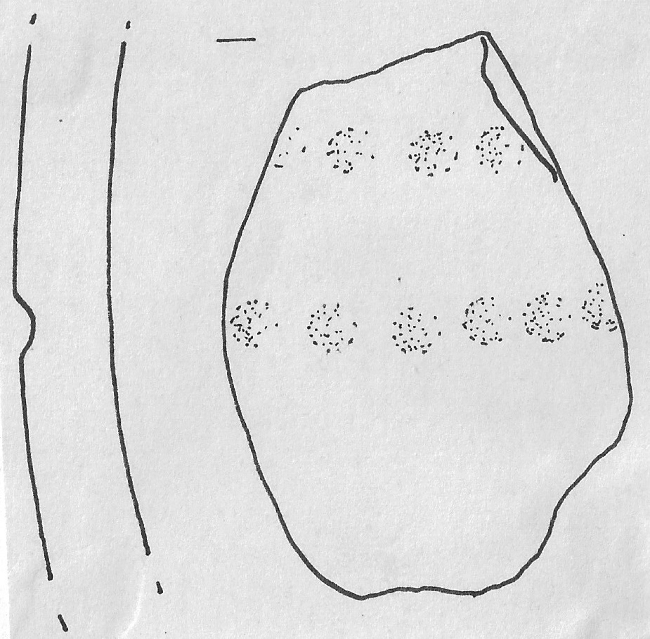 vaso - Facies Terramara (Età del bronzo)