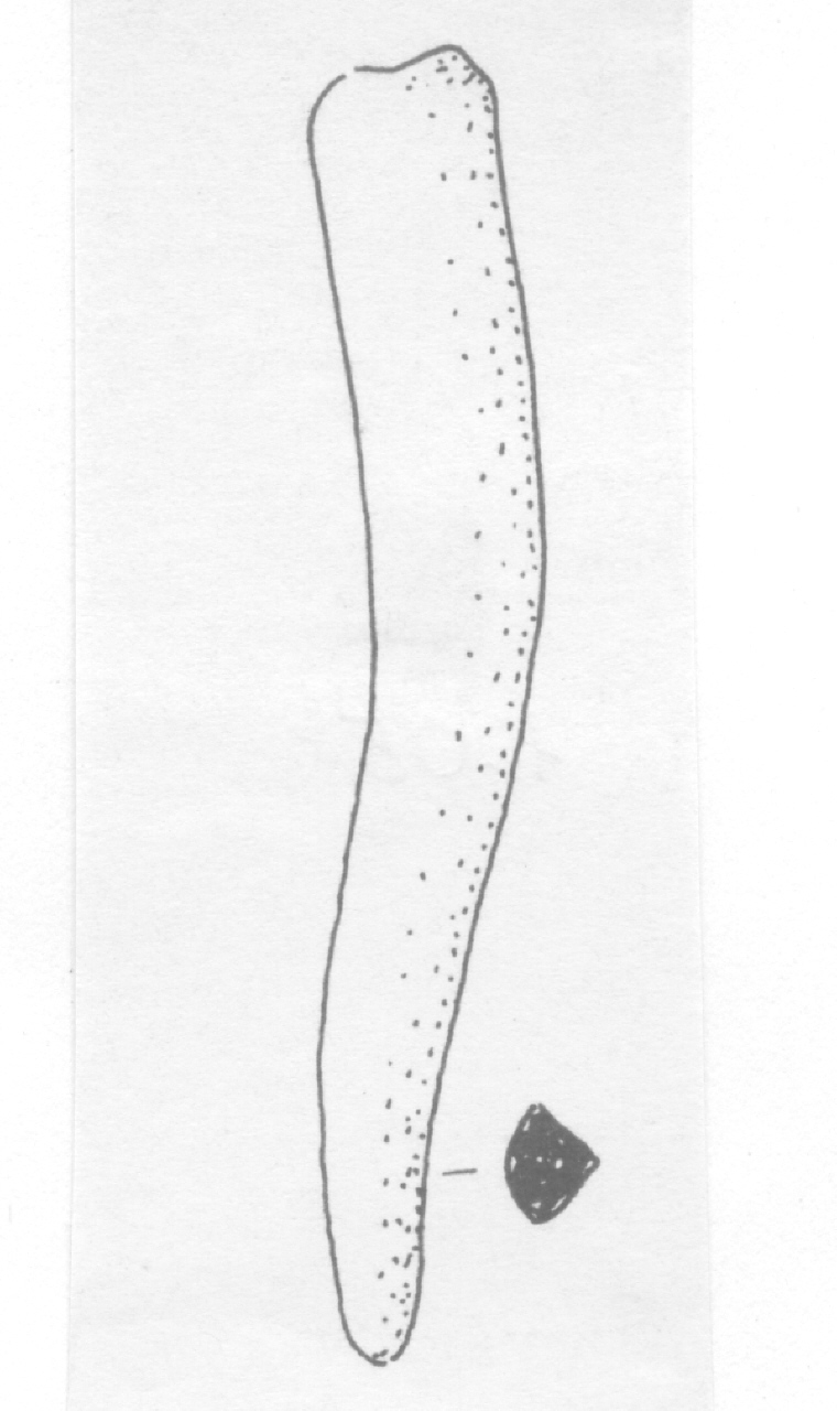 punteruolo - Facies Terramara (Età del bronzo)